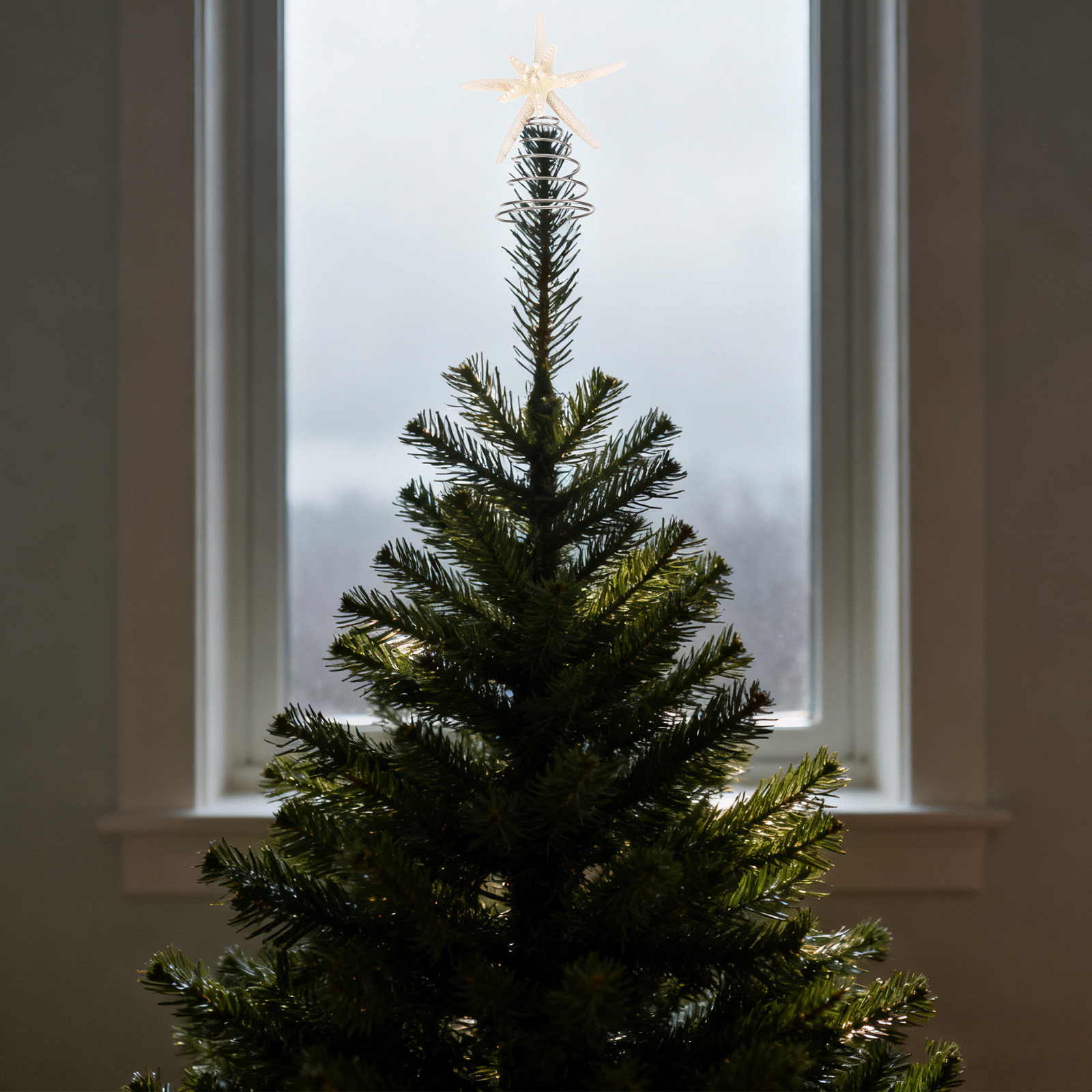 Star Tree Topper - ดาวประดับยอดต้นคริสต์มาสแบบดาวห้าแฉก ทำจากลวดทะเล ตกแต่งต้นคริสต์มาสธีมทะเล สำหรับเทศกาลวันหยุดริมชายหาด